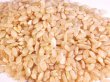 画像4: 自然栽培ササニシキ　発芽玄米５ｋｇ（小粒タイプ） (4)