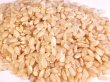 画像3: 自然栽培ササニシキ　発芽玄米５ｋｇ（小粒タイプ） (3)